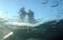 Wukskniki - Styczeń 2004