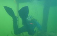 Wukskniki - Styczeń 2004