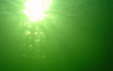 Wukskniki - Styczeń 2004