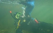 Wukskniki - Styczeń 2004