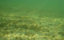 Wukskniki - Styczeń 2004