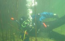 Wukskniki - Styczeń 2004