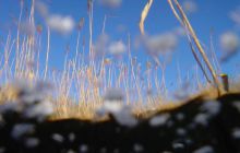 Wukskniki - Styczeń 2004