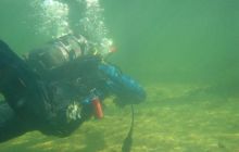 Wukskniki - Styczeń 2004