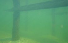 Wukskniki - Styczeń 2004