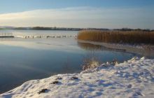 Wukskniki - Styczeń 2004