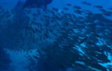 Jeź Hańcza - Styczeń 2004