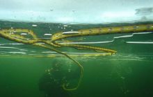 Jeź Hańcza - Styczeń 2004