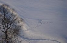 Jeź Hańcza - Styczeń 2004