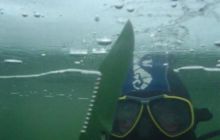 Jeź Białe - Styczeń 2004