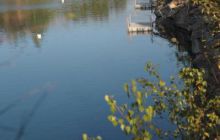 Zakrzówek, Koparki - Wrzesień 2008