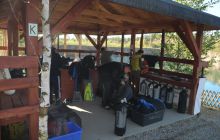 Zakrzówek, Koparki - Wrzesień 2008