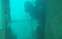 Zakrzówek, Koparki - Wrzesień 2008