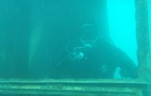 Zakrzówek, Koparki - Wrzesień 2008