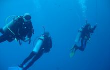 Safari Brothers Islands - Wrzesień 2004