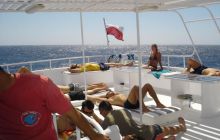 Safari Brothers Islands - Wrzesień 2004