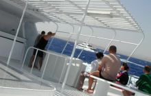 Safari Brothers Islands - Wrzesień 2004