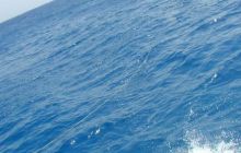 Safari Brothers Islands - Wrzesień 2004