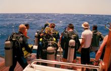 Safari St Johns - Kwiecień 2005