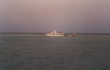 Safari St Johns - Kwiecień 2005