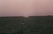 Safari St Johns - Kwiecień 2005