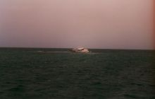 Safari St Johns - Kwiecień 2005