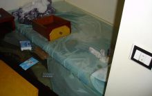 Safari St Johns - Kwiecień 2005