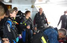 Safari St Johns - Kwiecień 2005