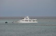 Safari St Johns - Kwiecień 2005