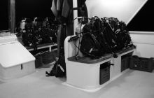 Safari St Johns - Kwiecień 2005