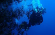 Safari St Johns - Kwiecień 2005