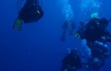 Safari St Johns - Kwiecień 2005