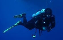 Safari St Johns - Kwiecień 2005