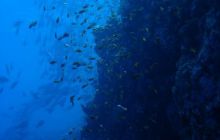 Safari St Johns - Kwiecień 2005