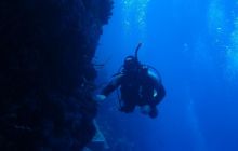 Safari St Johns - Kwiecień 2005