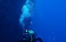 Safari St Johns - Kwiecień 2005