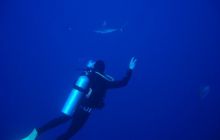 Safari St Johns - Kwiecień 2005