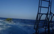 Safari St Johns - Kwiecień 2005