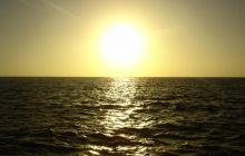 Safari St Johns - Kwiecień 2005