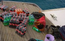 Safari St Johns - Kwiecień 2005