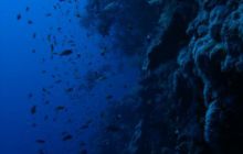 Safari St Johns - Kwiecień 2005