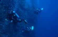 Safari St Johns - Kwiecień 2005