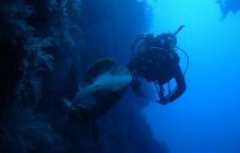 Safari St Johns - Kwiecień 2005