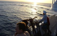 Safari St Johns - Kwiecień 2005