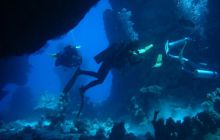 Safari St Johns - Kwiecień 2005