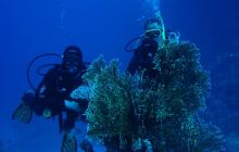 Safari St Johns - Kwiecień 2005