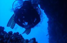 Safari St Johns - Kwiecień 2005