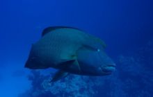 Safari St Johns - Kwiecień 2005