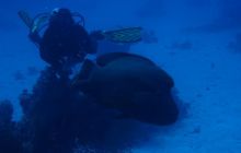 Safari St Johns - Kwiecień 2005