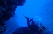 Safari St Johns - Kwiecień 2005